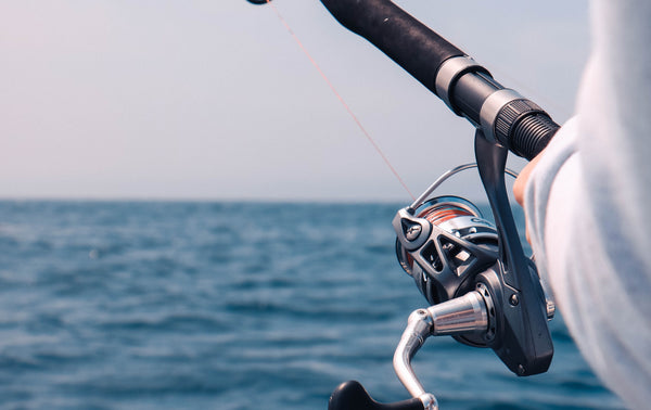 A Beginner's Guide to Jigging | What You Need to Know