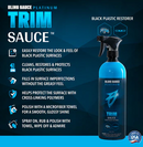 Bling Platinum Trim Sauce - 709mL Spray