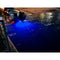 Relaxn Drain/Bung LED Underwater Lights - T/s 40mm Cut-out